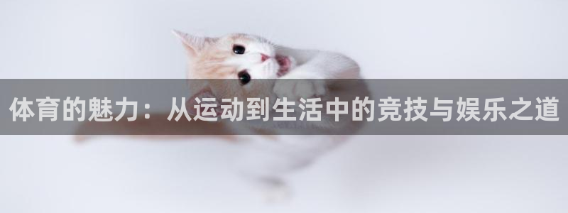 风速体育