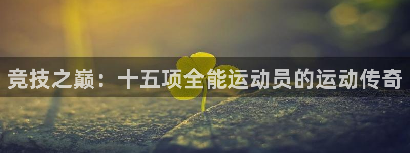风速体育