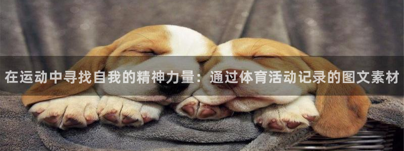 风速体育下载