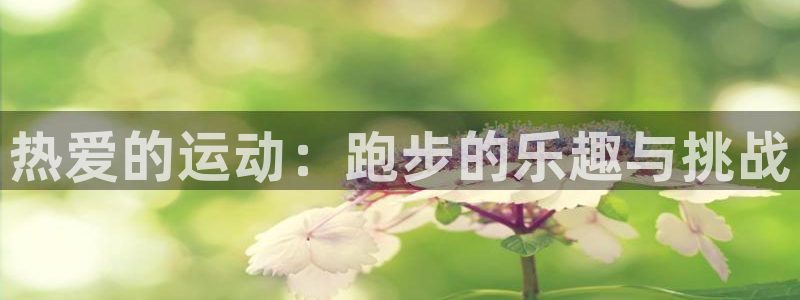 风速体育nba直播