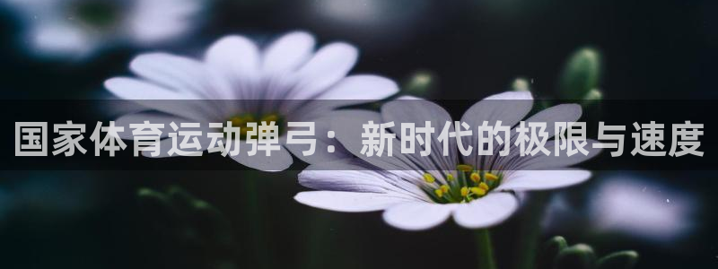 下载风速体育：国家体育运动弹弓：新时代的极限与速度