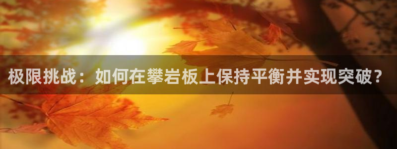 风速体育官网：极限挑战：如何在攀岩板上保持平衡并实现突破？