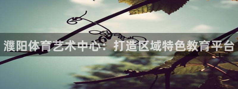 风速体育cba直播：濮阳体育艺术中心：打造区域特色教育平台