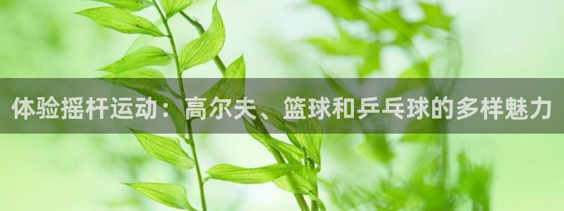 风速体育app下载安装最新版本