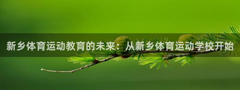 风速体育官网：新乡体育运动教育的未来：从新乡体育运动学校开始