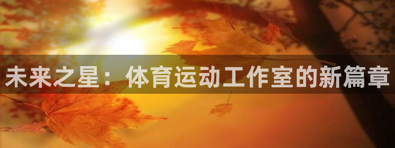 风速体育cba直播：未来之星：体育运动工作室的新篇章