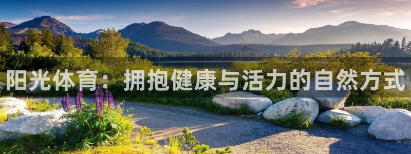 风速体育官网
