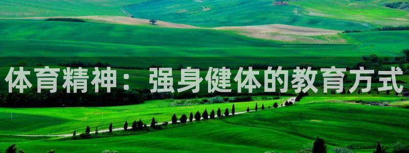 风速体育官网