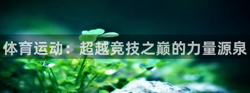 风速体育：体育运动：超越竞技之巅的力量源泉